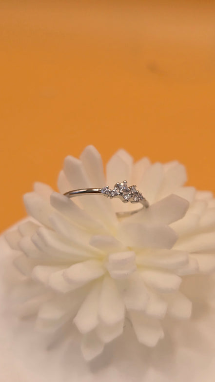 Bague pureté d'argent