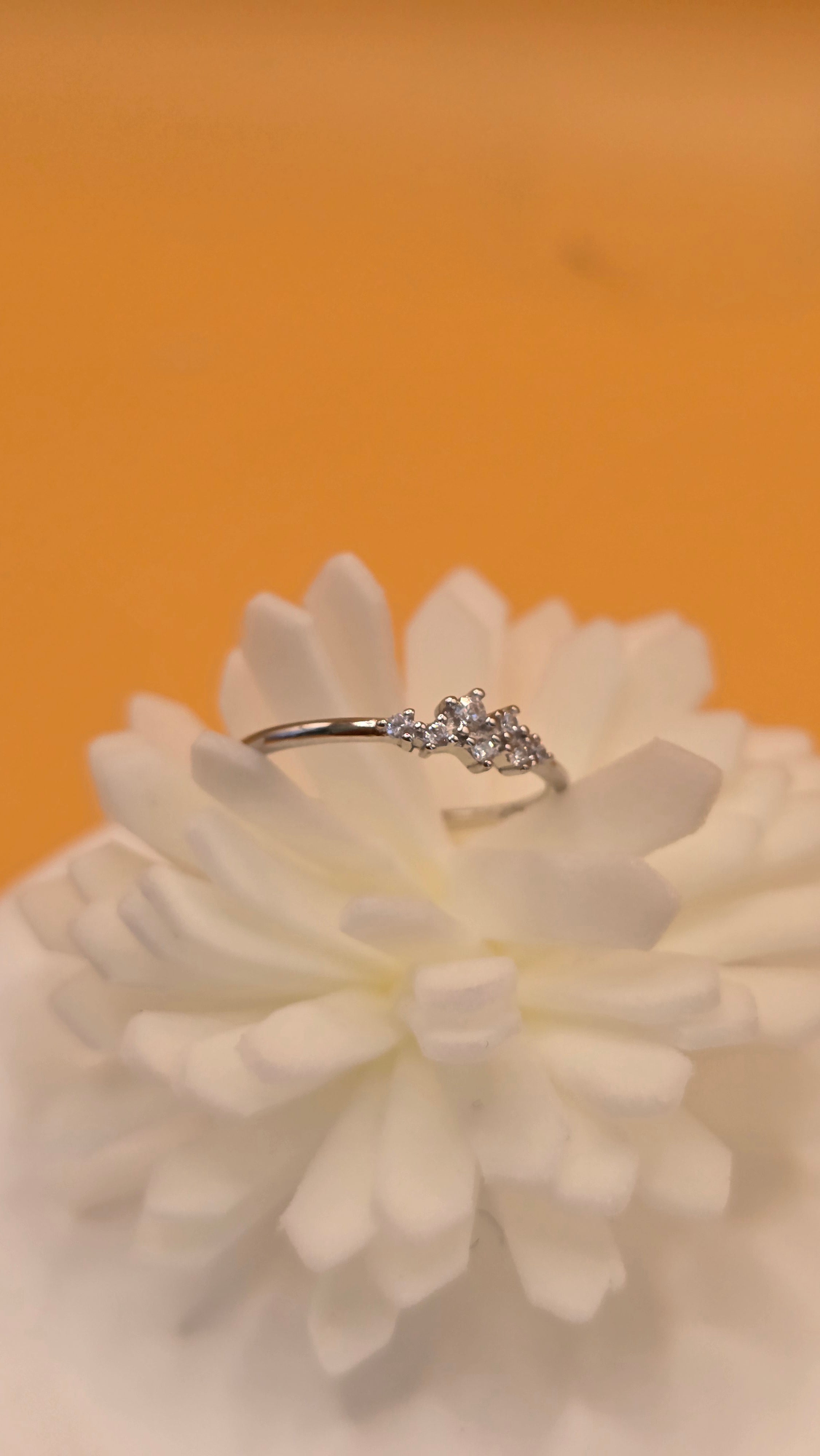 Bague pureté d'argent