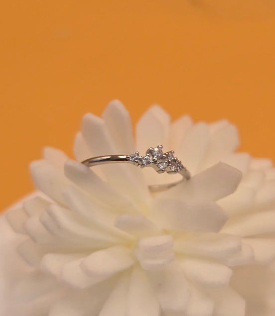 Bague pureté d'argent