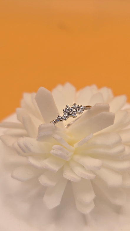 Bague pureté d'argent