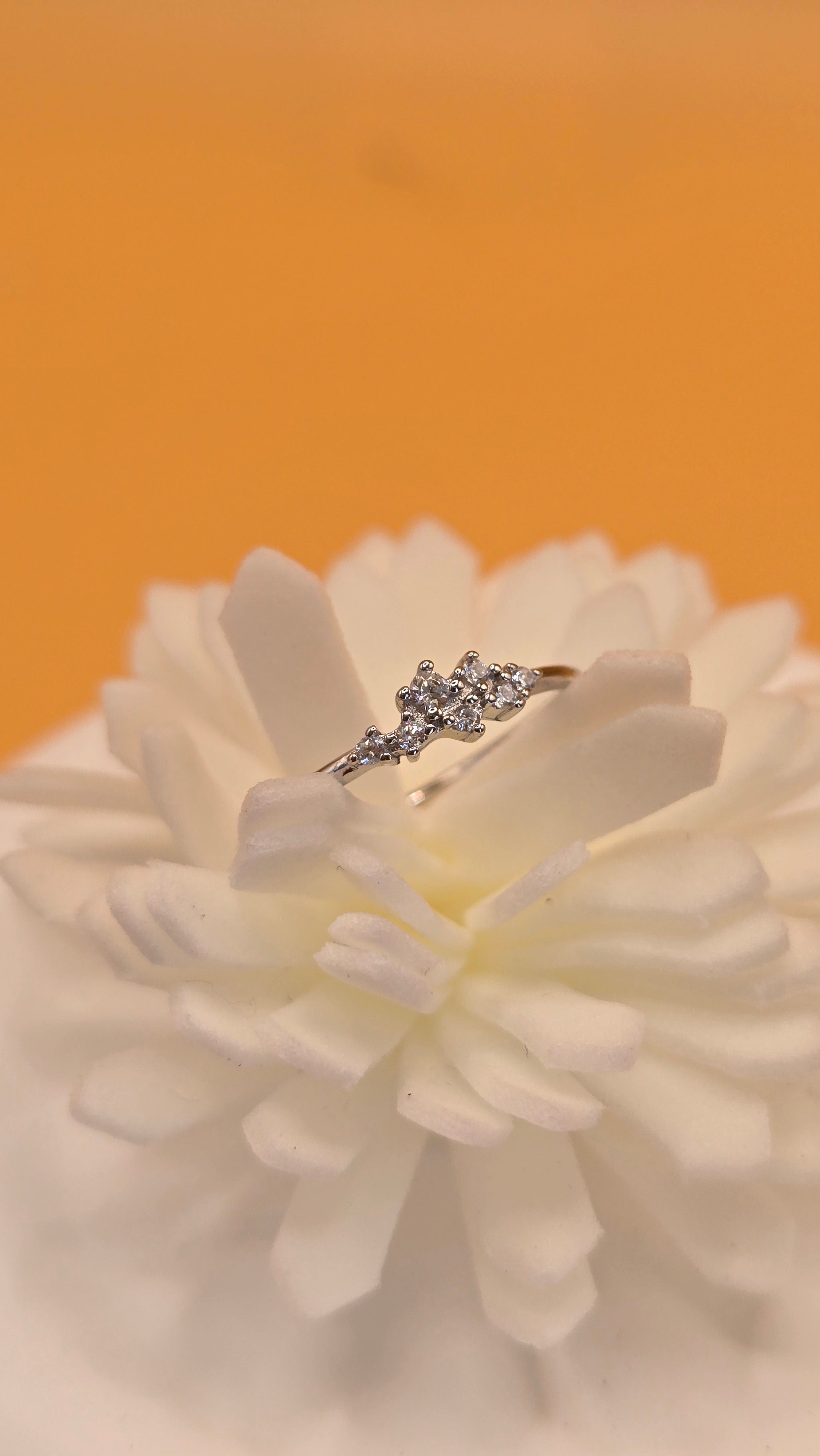 Bague pureté d'argent