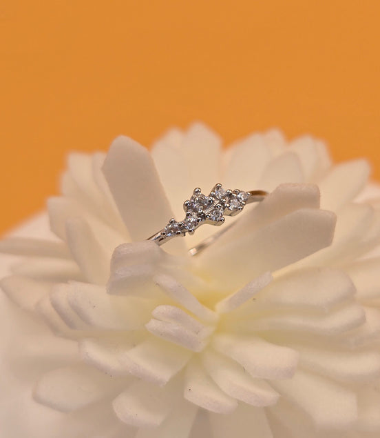 Bague pureté d'argent