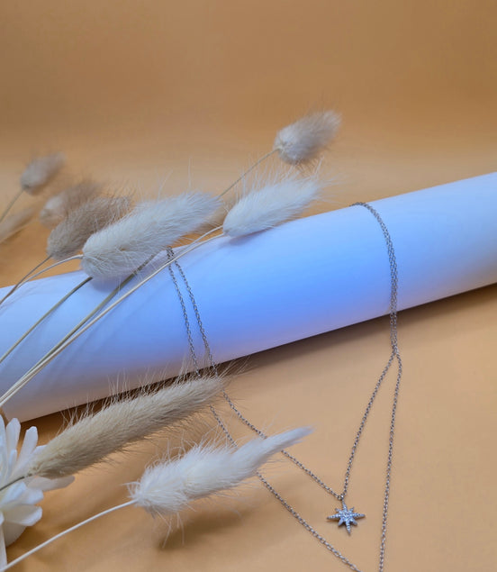 Colliers Elvira argentés