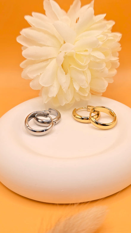 Boucles d'oreilles argentées Mialy