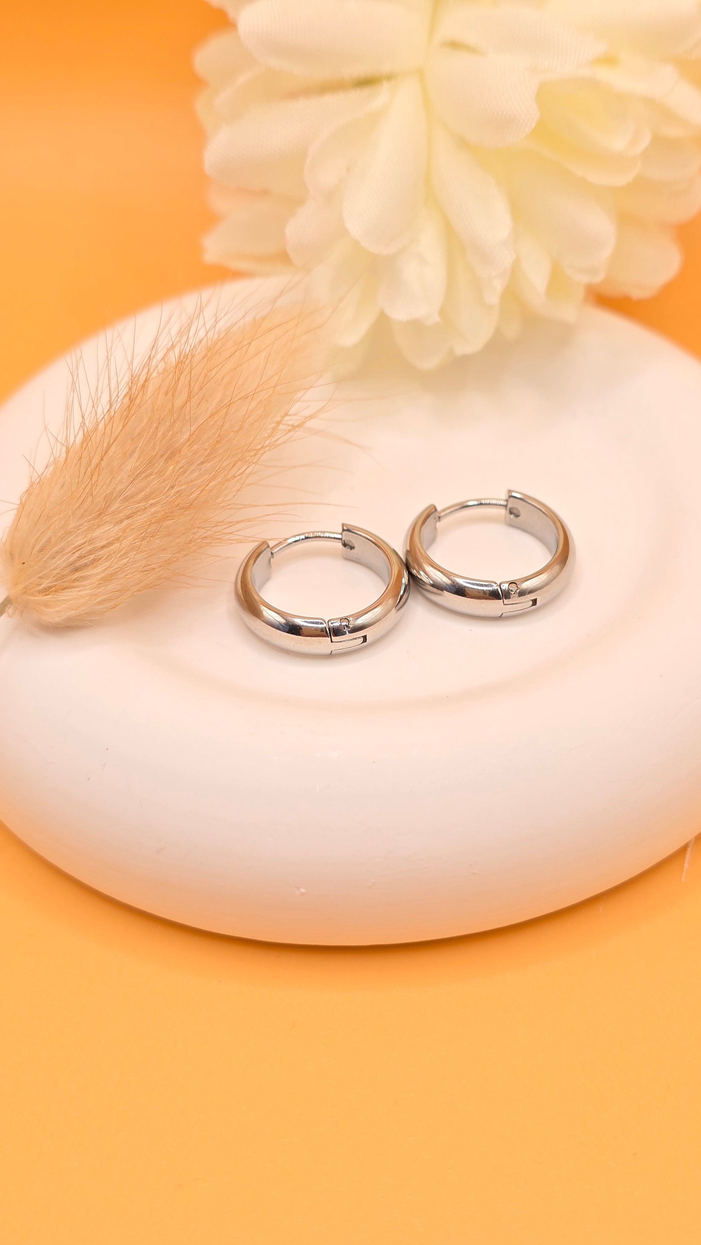 Boucles d'oreilles argentées Mialy