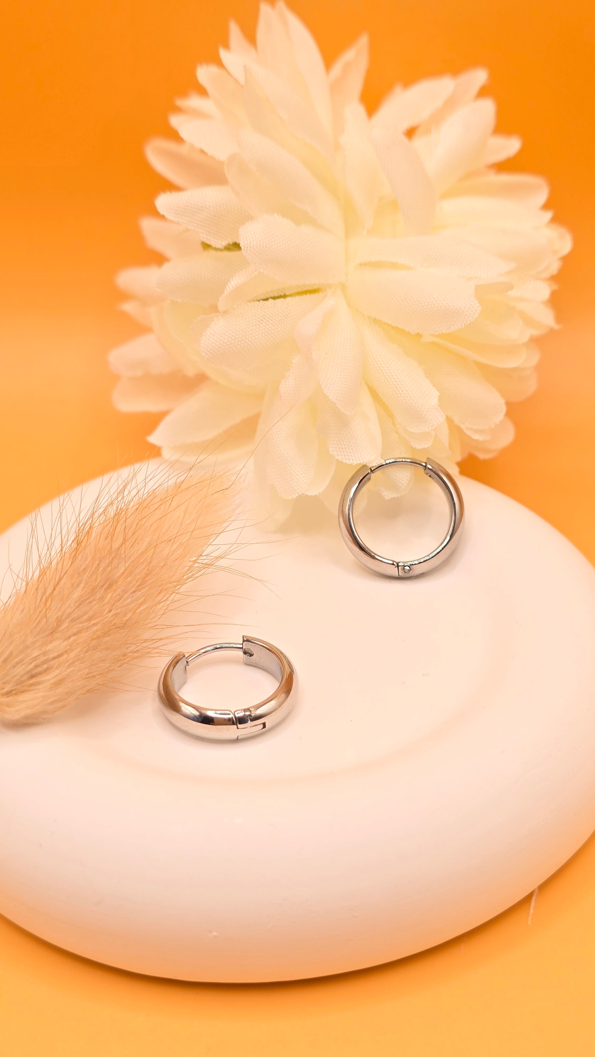 Boucles d'oreilles argentées Mialy