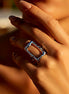 La méditative argentée